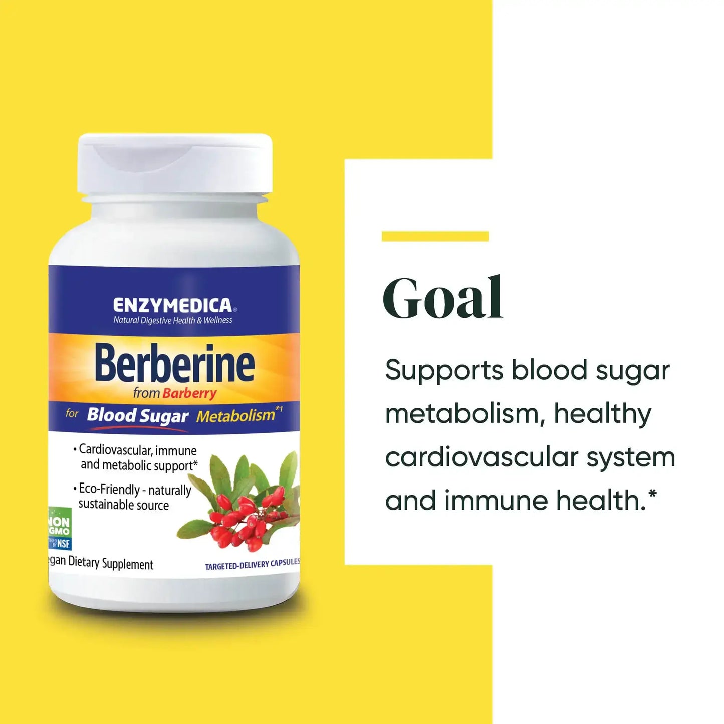 This image shows the goal of Berberine.