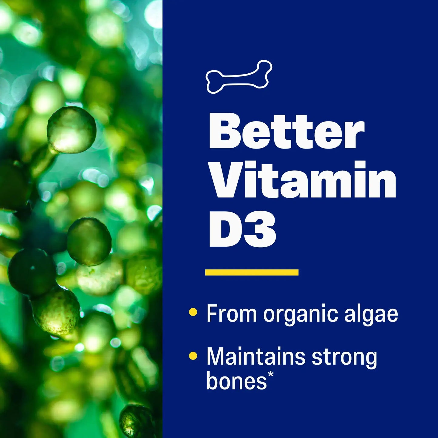 This image shows what is in Vitamin D3.