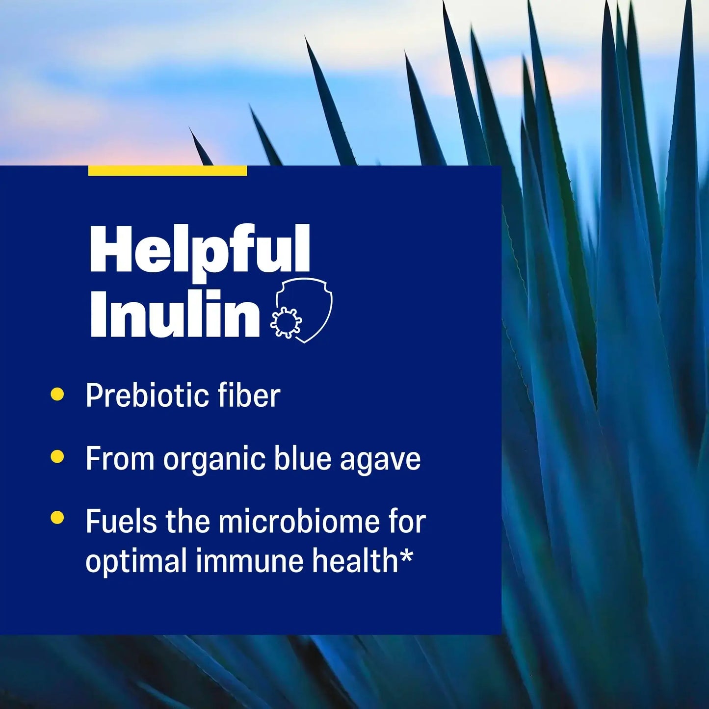 This image shows what Helpful Inulin is.