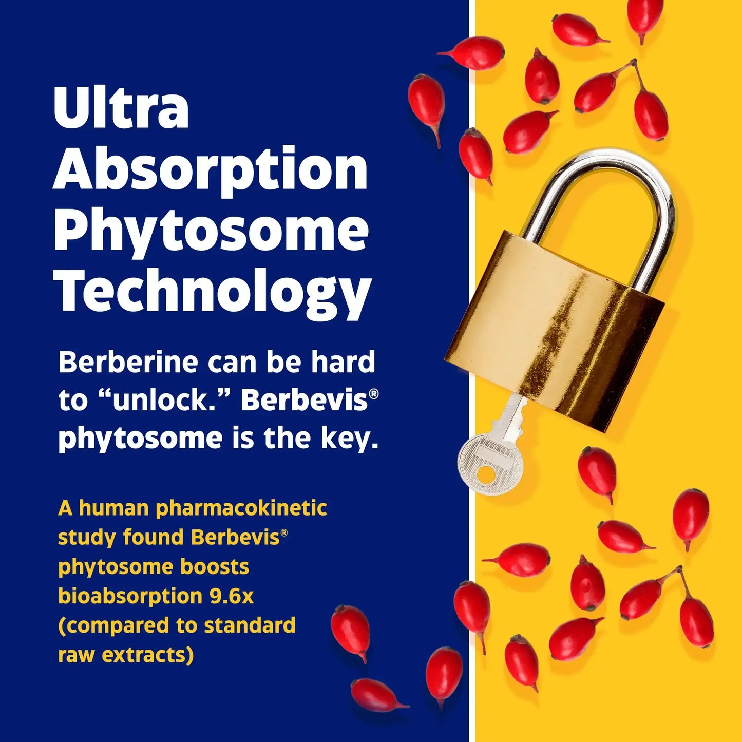 This image shows the ultra absorption phytosome technology for Berberine Phytosome.