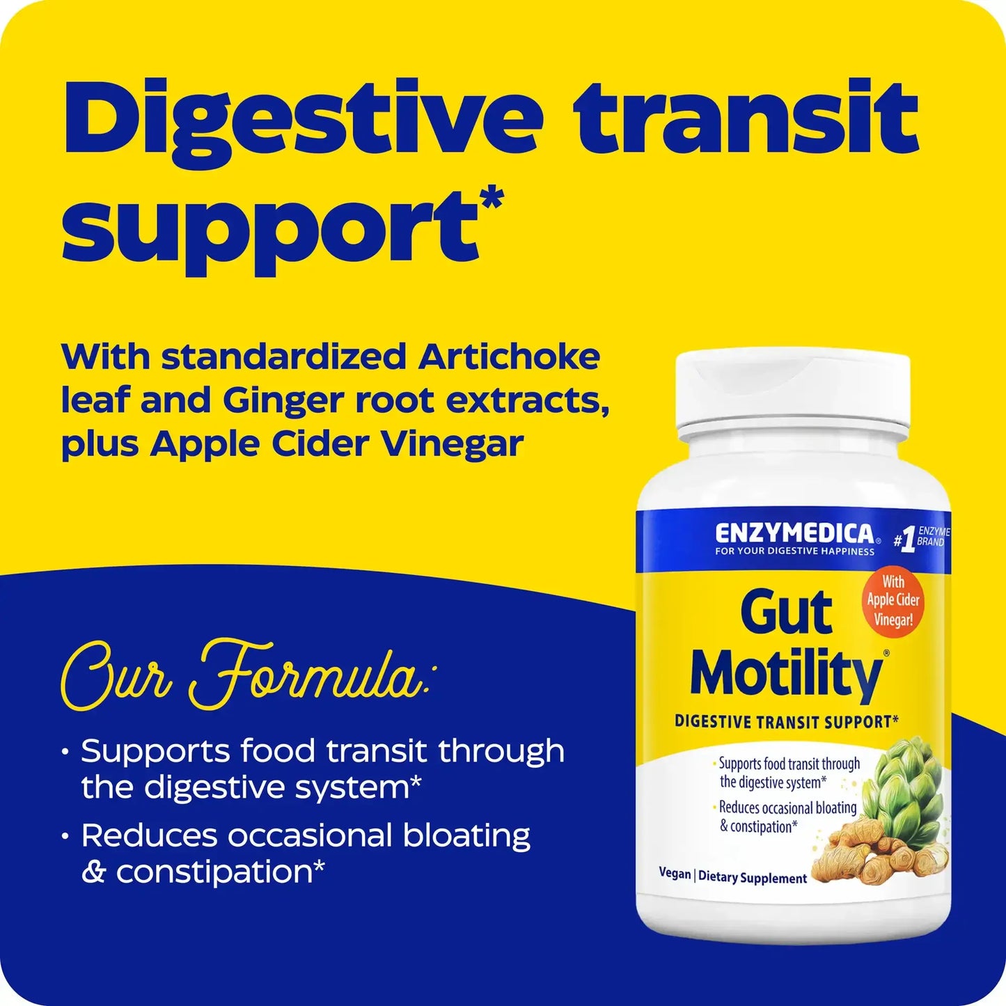 This image shows an infographic for Gut Motility.
