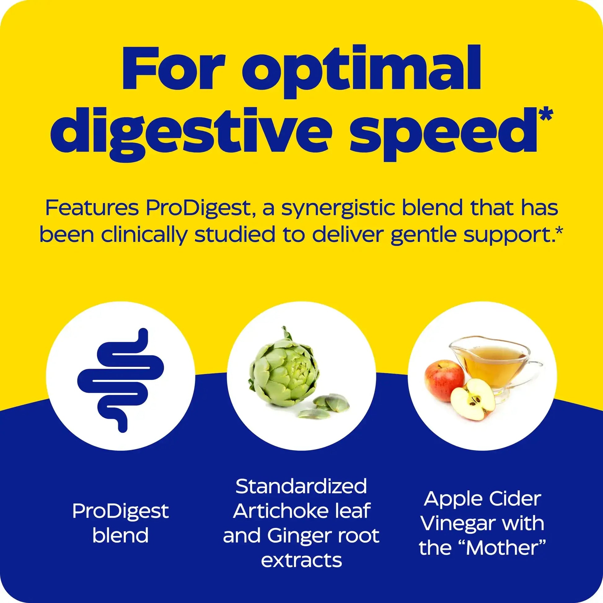 This image shows an infographic for Gut Motility.