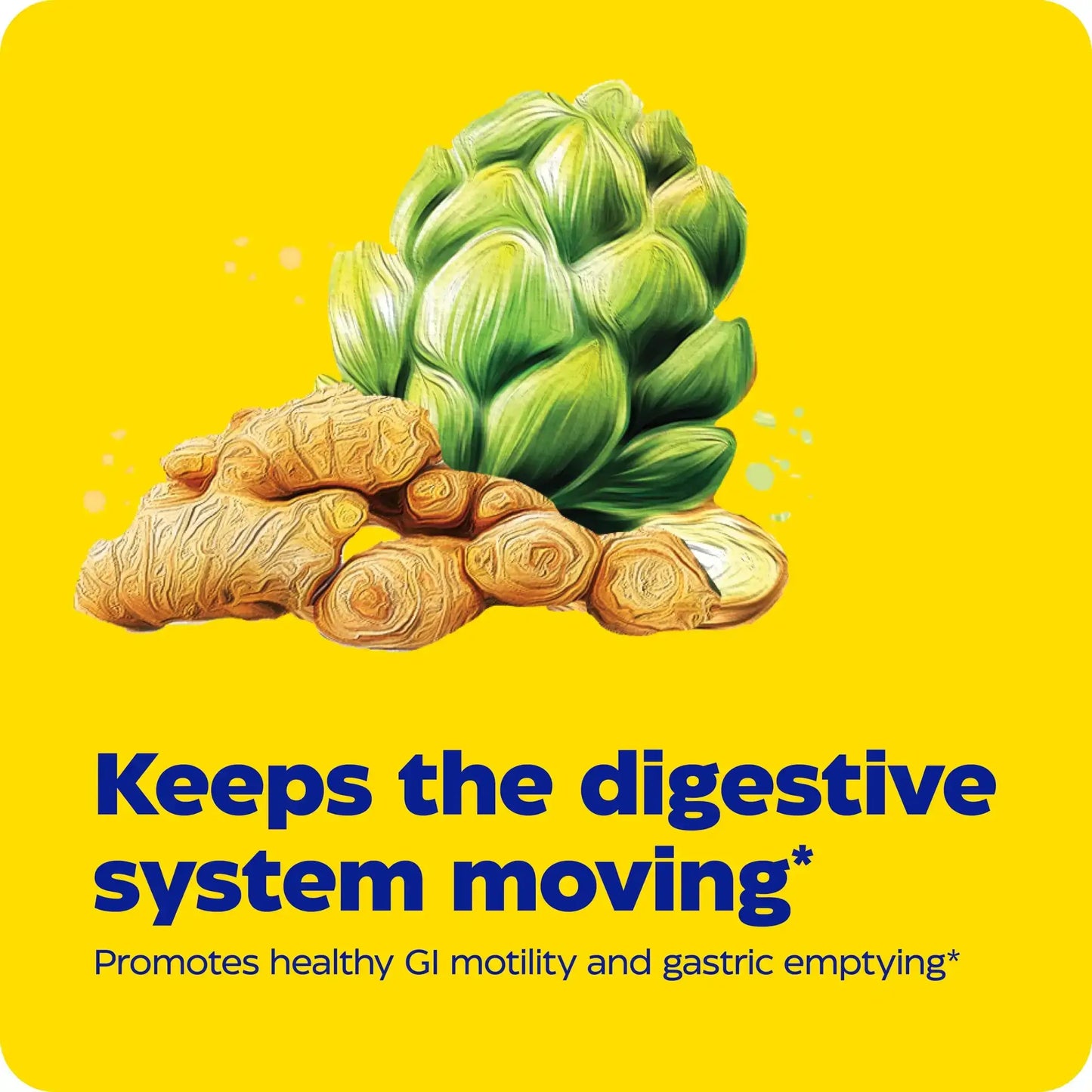 This image shows an infographic for Gut Motility.