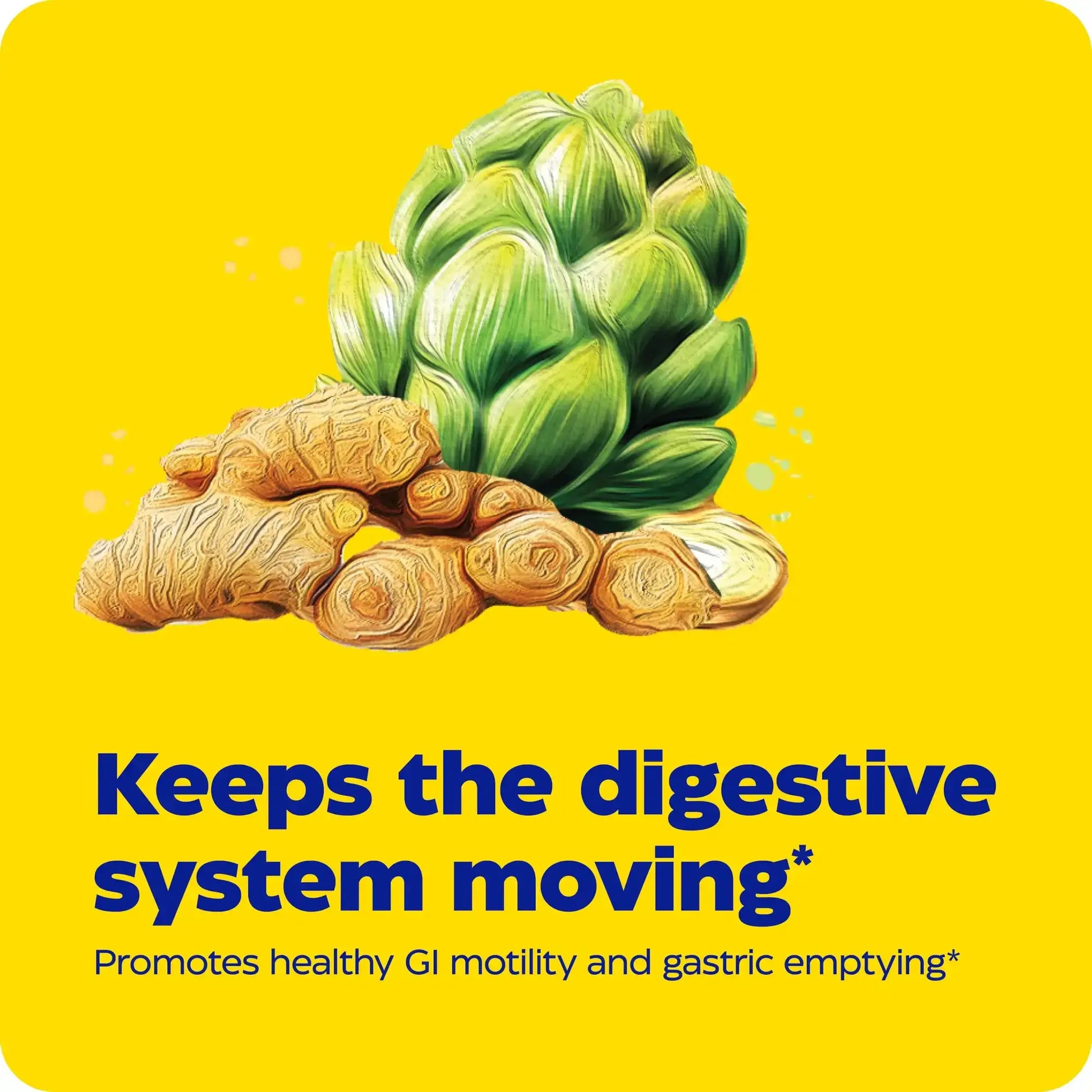 This image shows an infographic for Gut Motility.