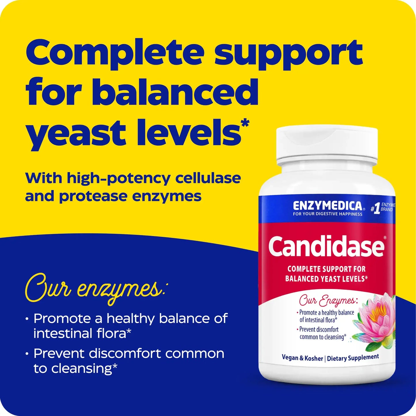 This image shows an infographic for Candidase.