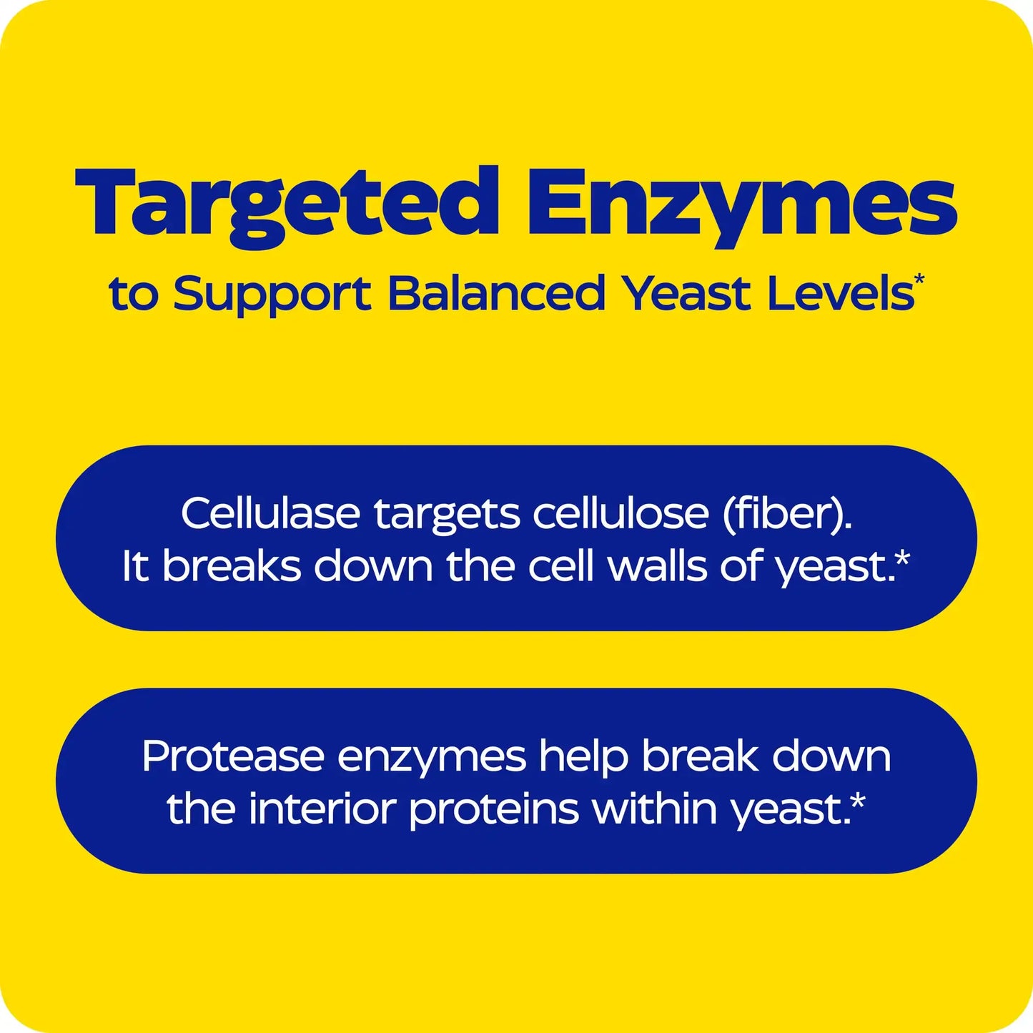 This image shows an infographic for Enzymedica.