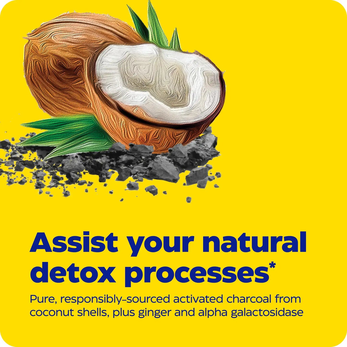 This image shows an infographic for activated charcoal.