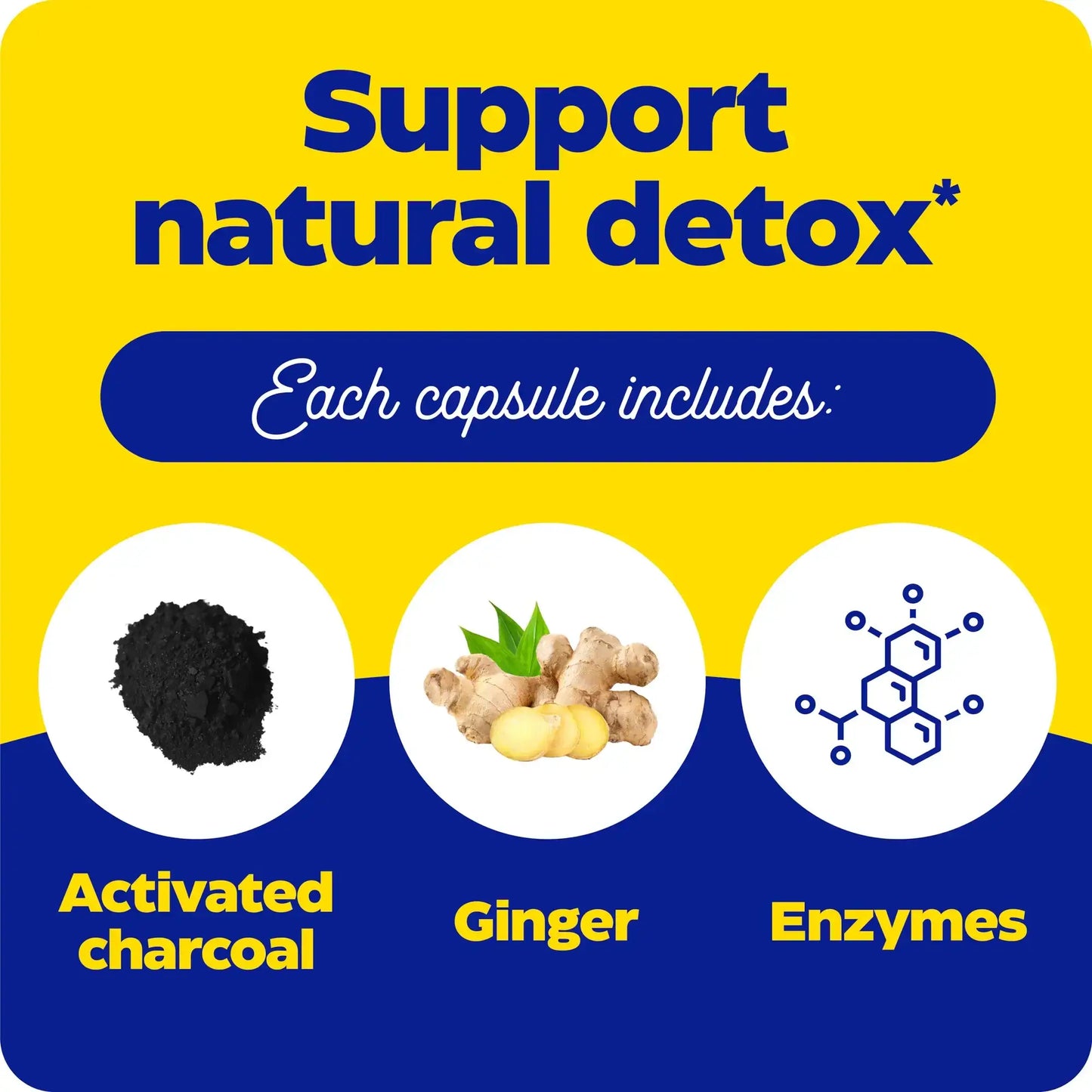 This image shows what each capsules includes for activated charcoal.