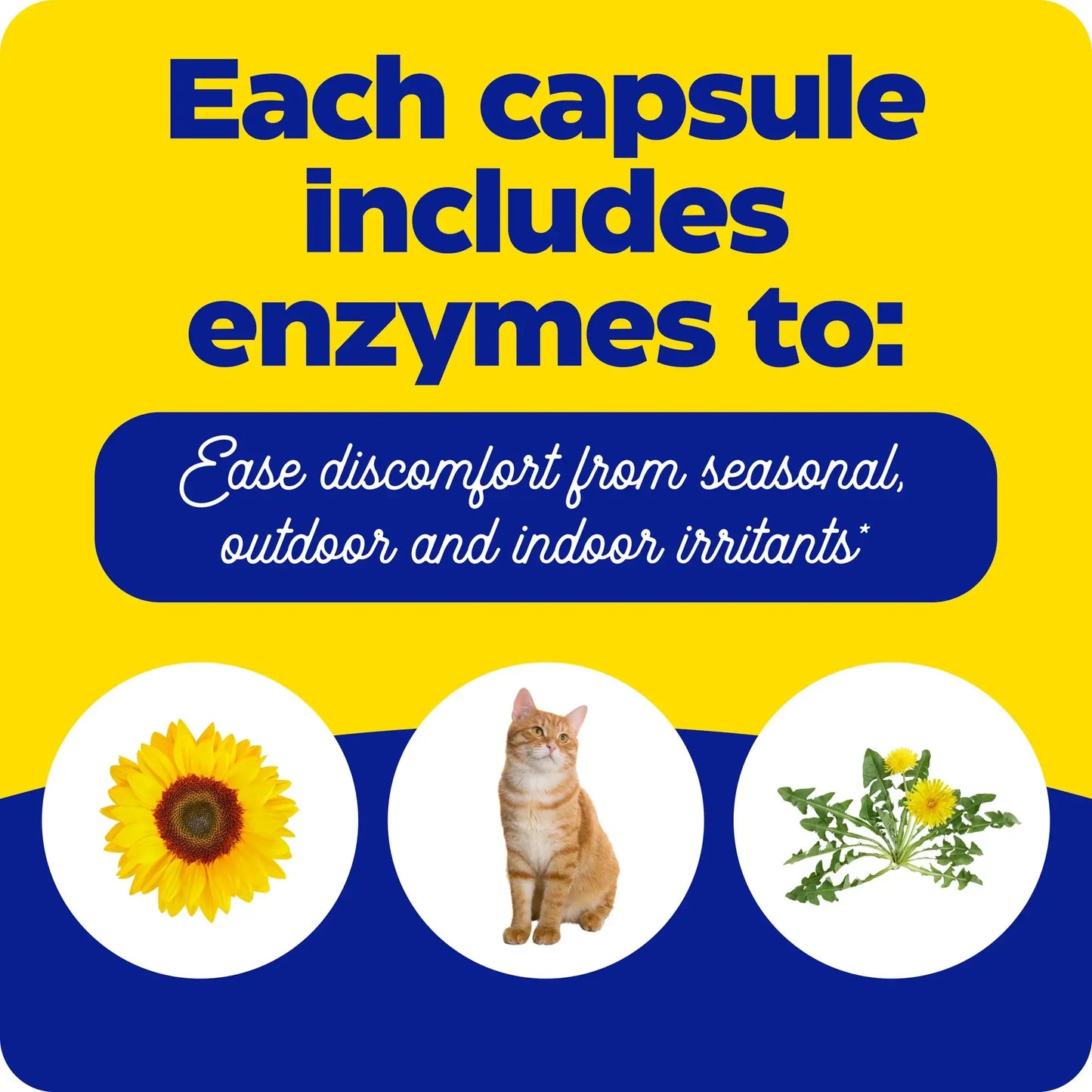 This image shows what discomforts you can conquer from each capsule of Allerase.