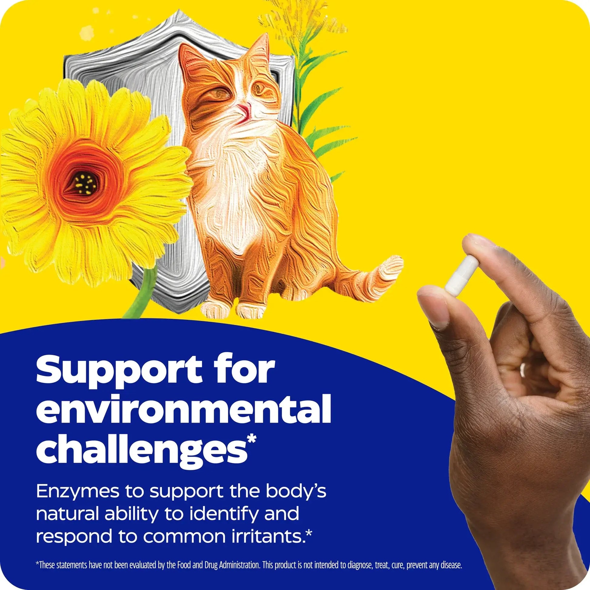 This image shows an infographic for Allerase.