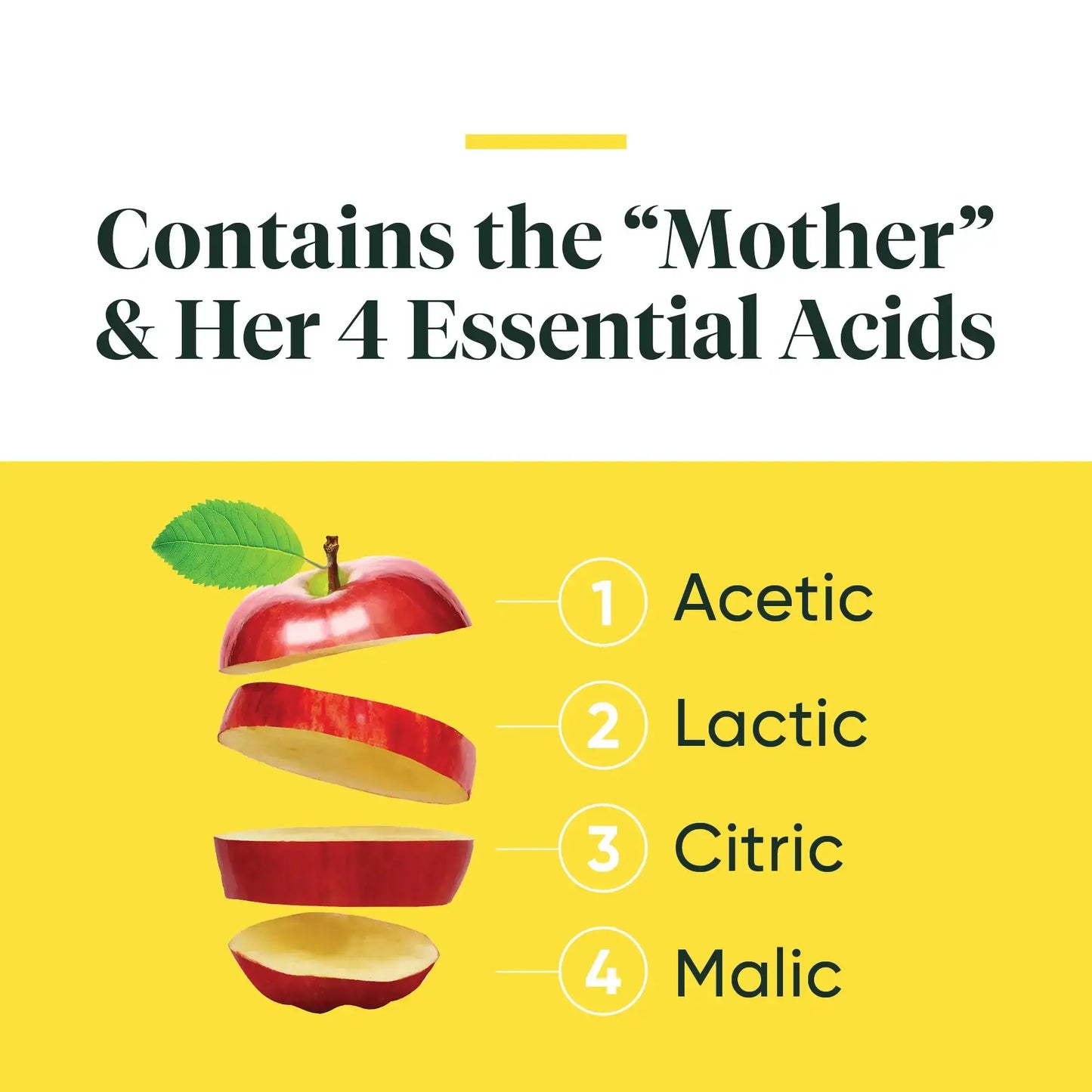 This image shows the "Mother" and her 4 essential acids of Apple Cider Vinegar.