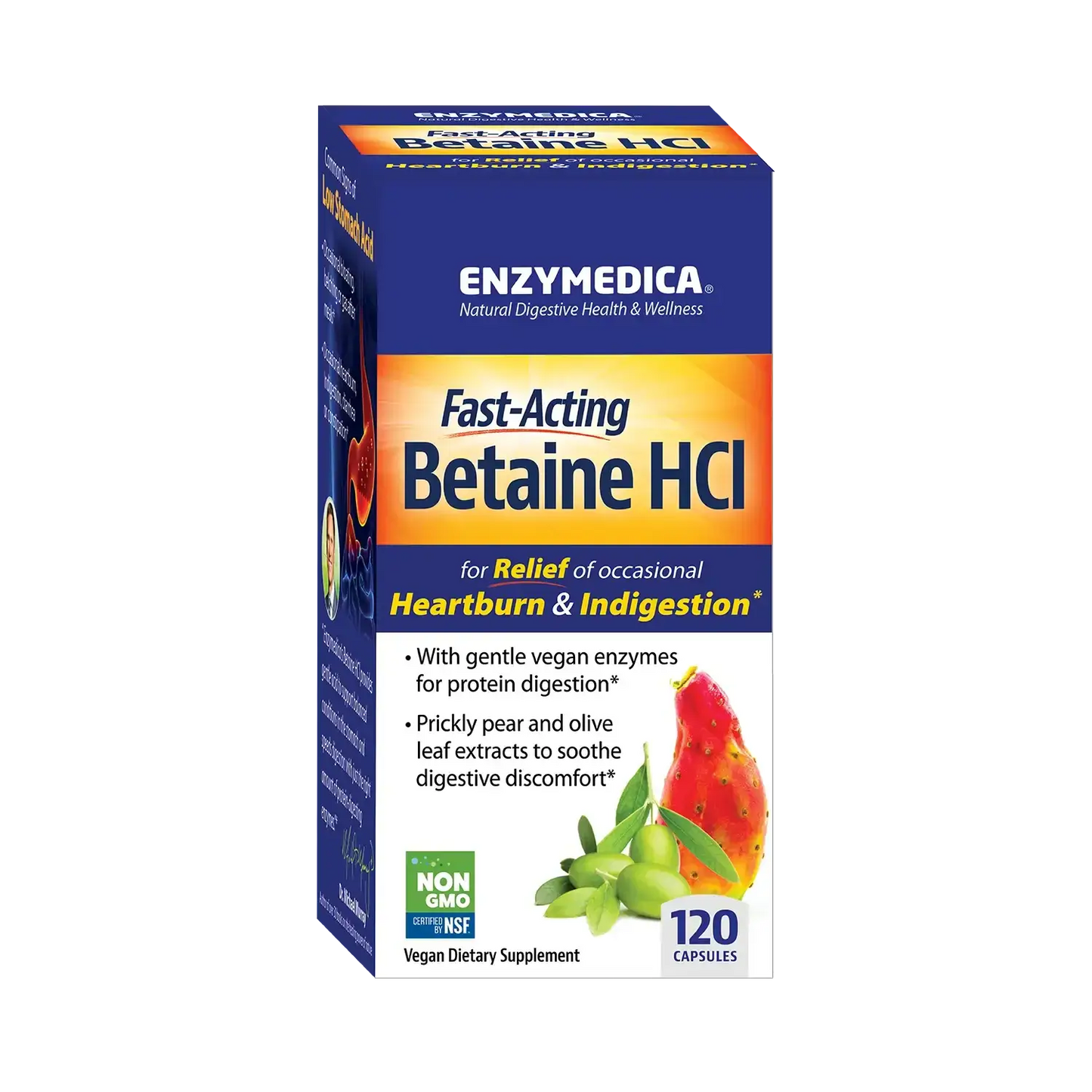 This image shows the carton of Betaine that holds 120 capsules.