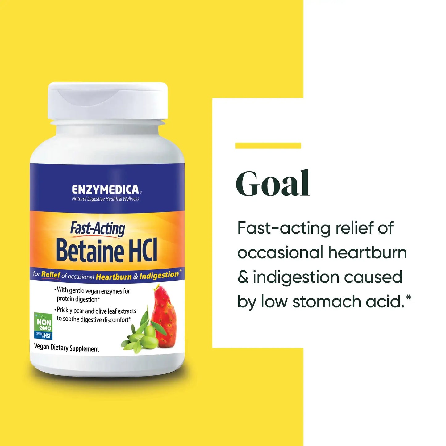 This image shows the goal of Betaine HCI.