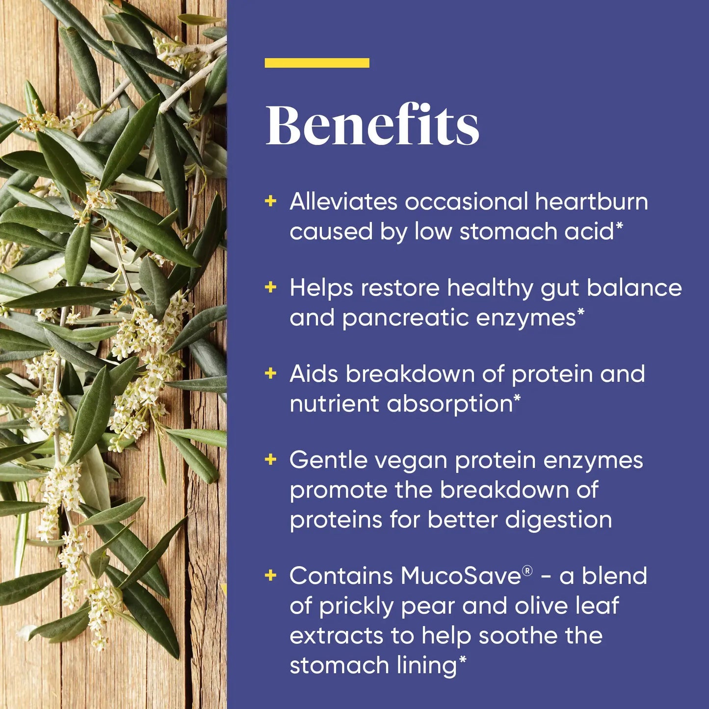 This image shows the benefits of Betaine.