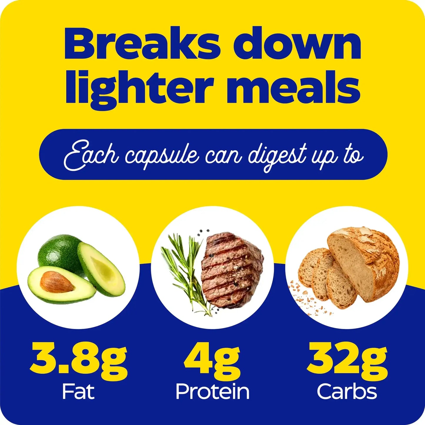 This image shows what each capsule of Digest Basic Probiotics can digest up to.