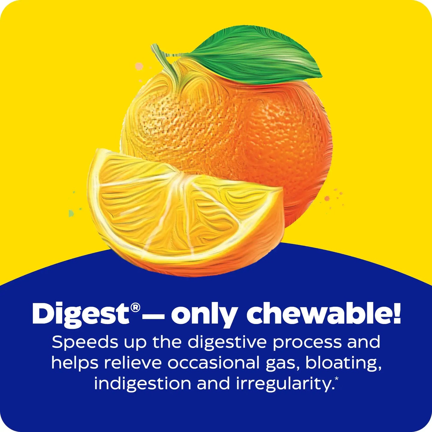 This image shows an infographic for Digest Chewable.