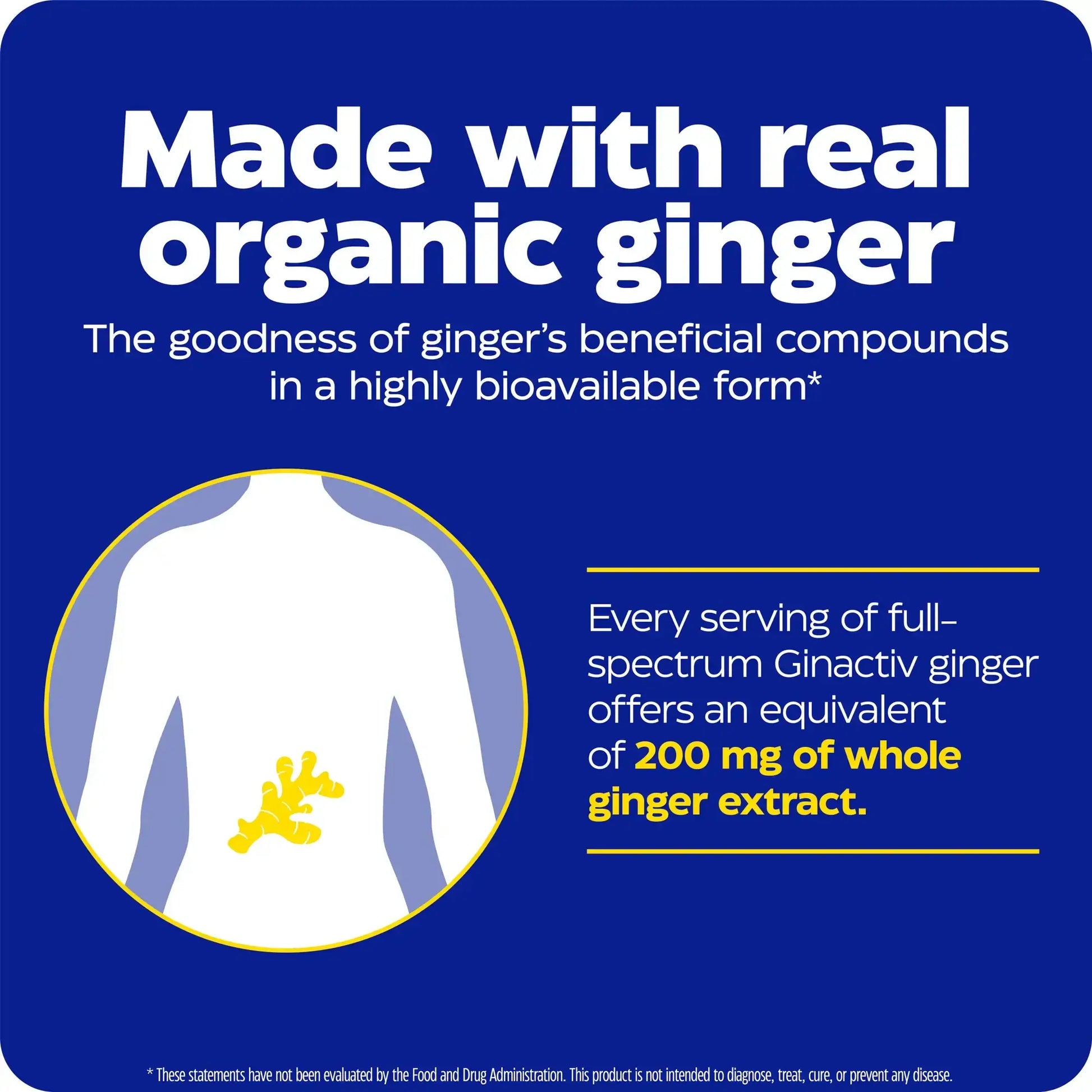 This image shows an infographic for Ginger + Vitamin B6.
