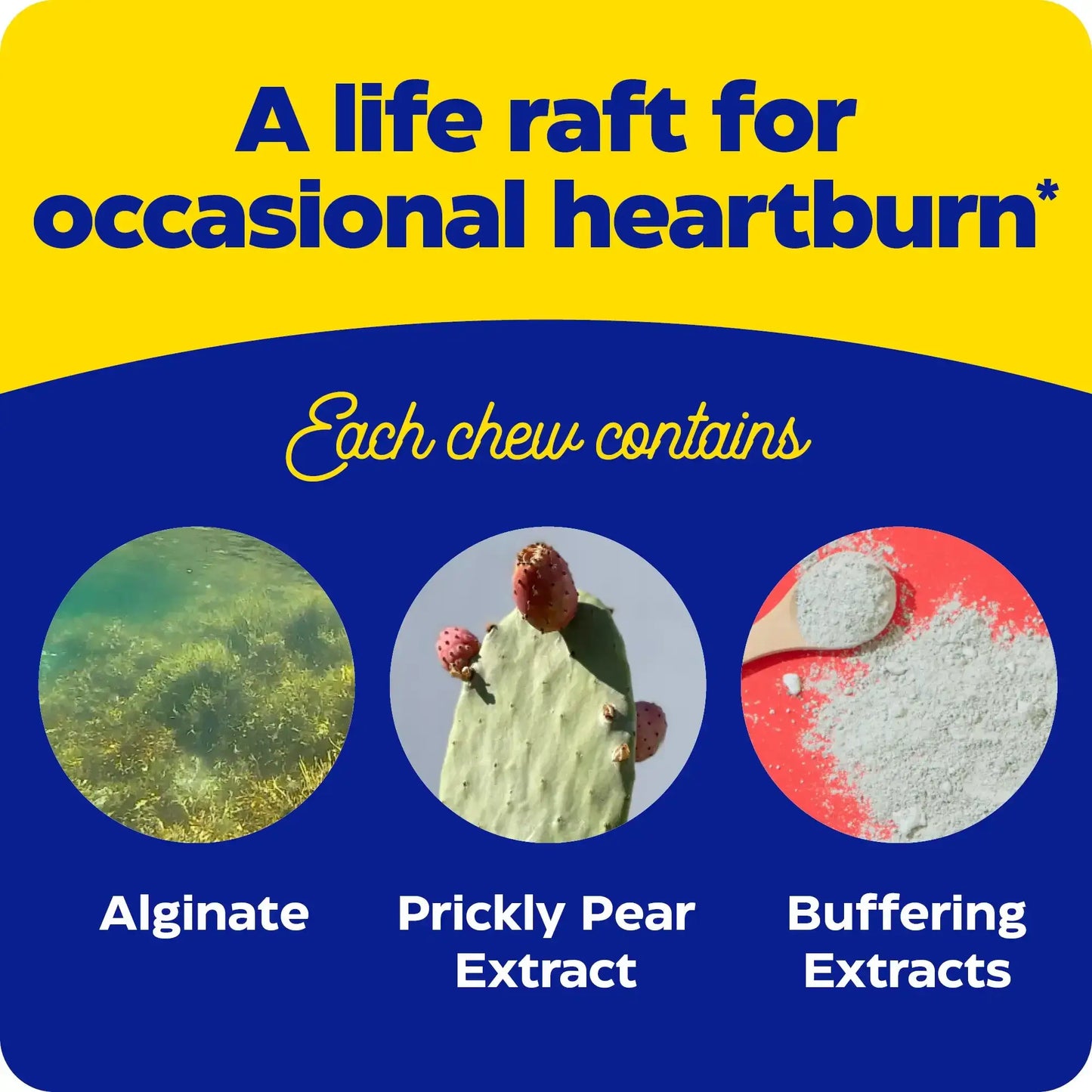 This image shows what each chew contains in Heartburn Soothe Chewable.