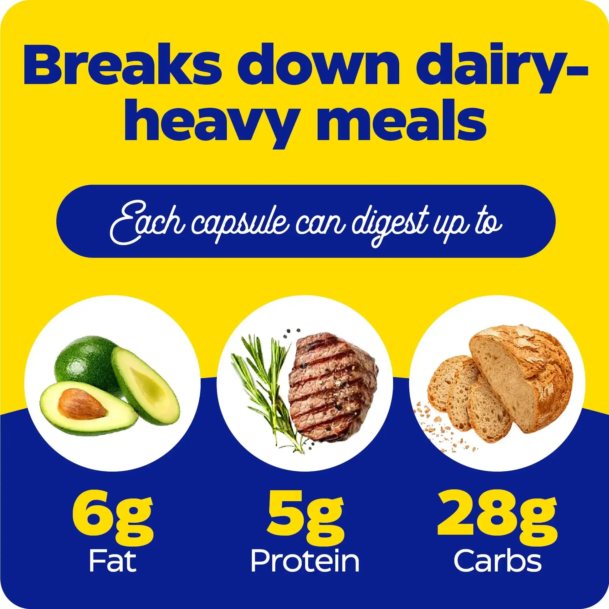 This image shows what each capsule of Lacto can digest up to.