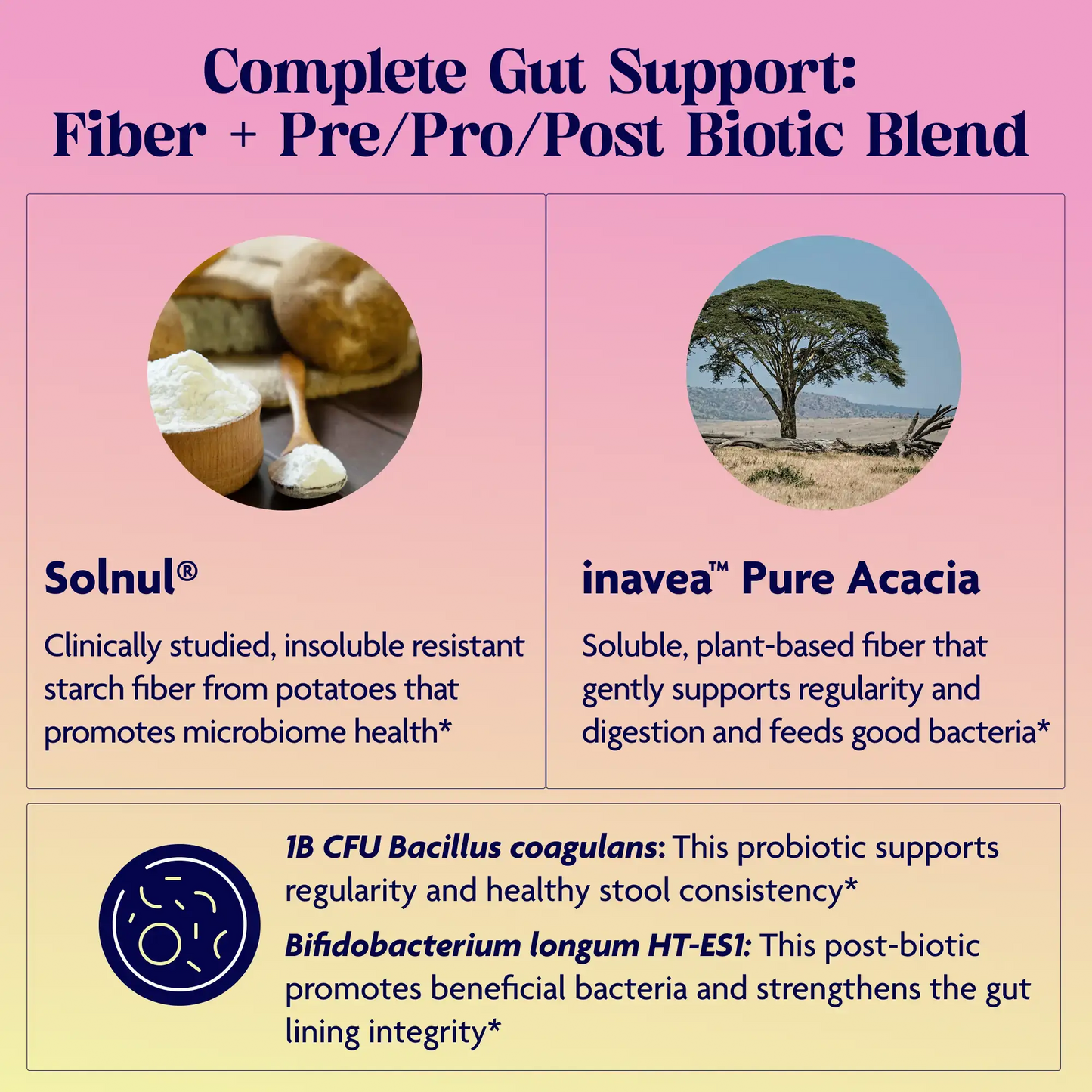 Complete Gut Support: Fiber + Pre/Pro/Post Biotic Blend.
