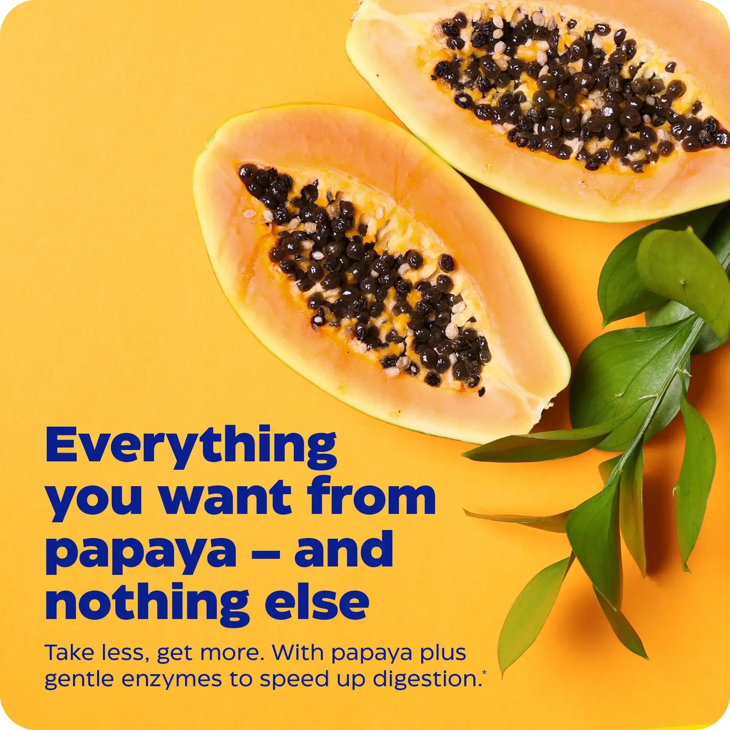 This image shows an infographic for Papaya Complete.