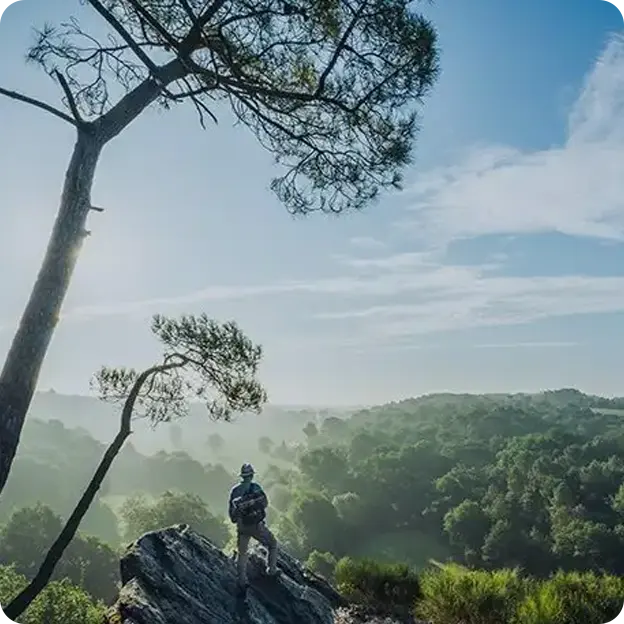 Man standing looking out the forest.