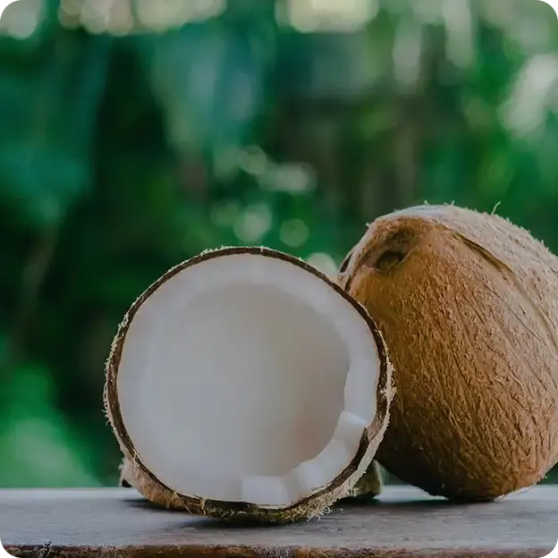 Coconuts.