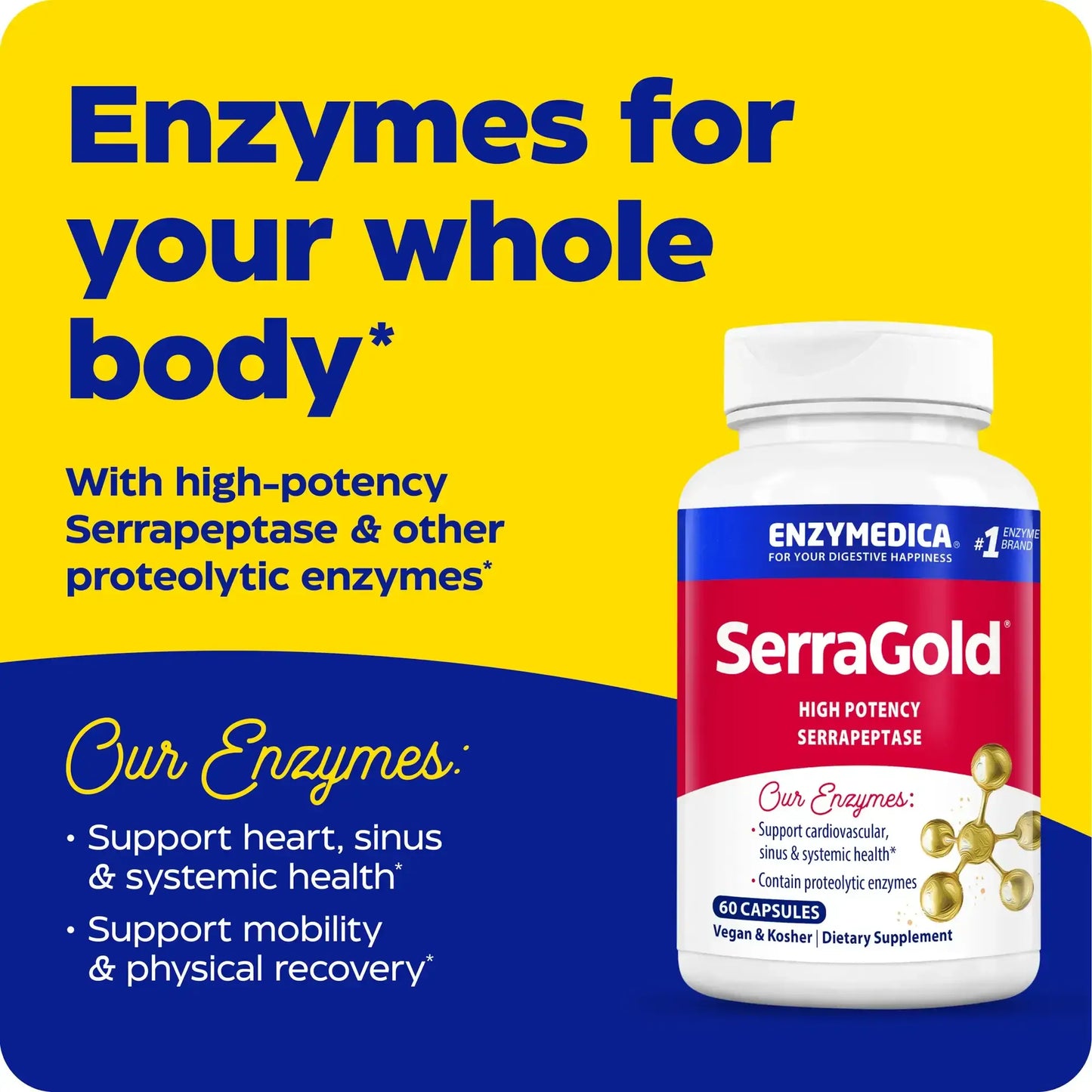 This image shows an infographic for SerraGold