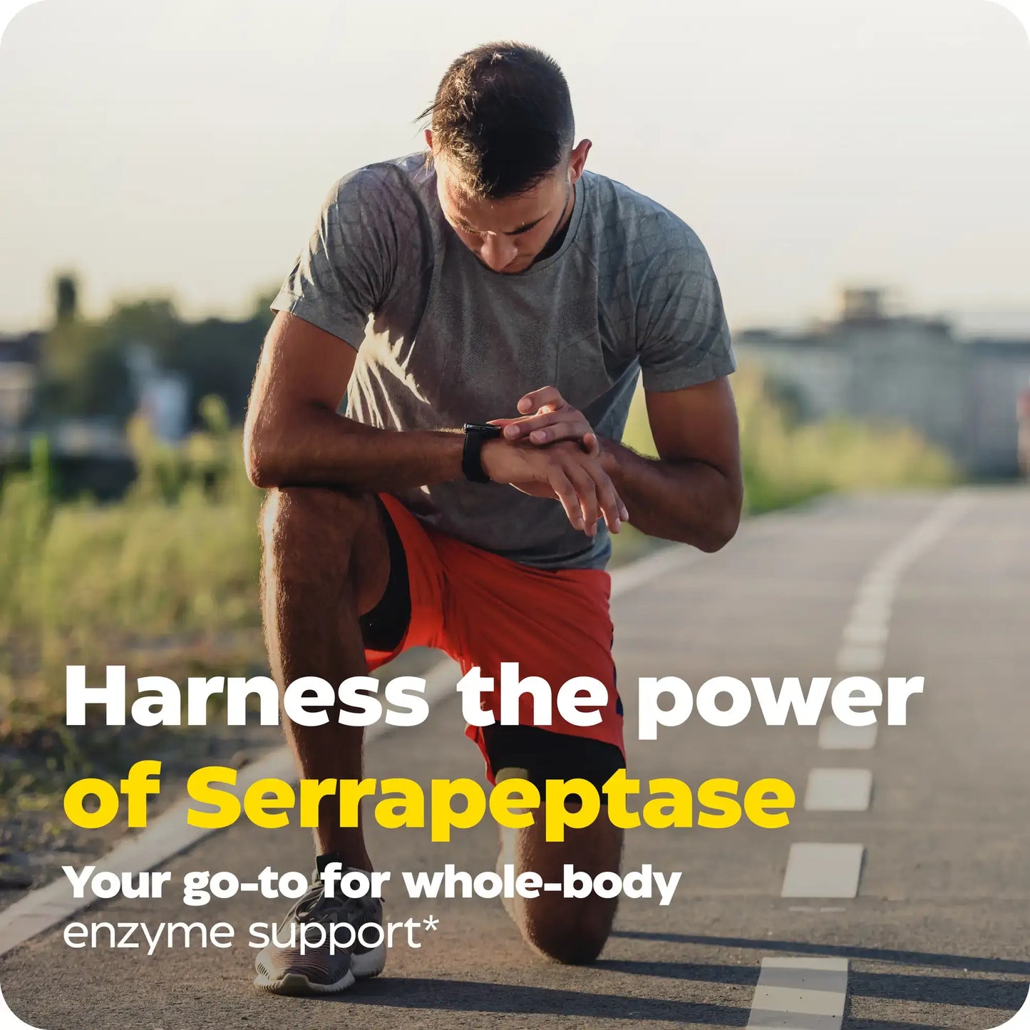 This image shows an infographic for SerraGold.
