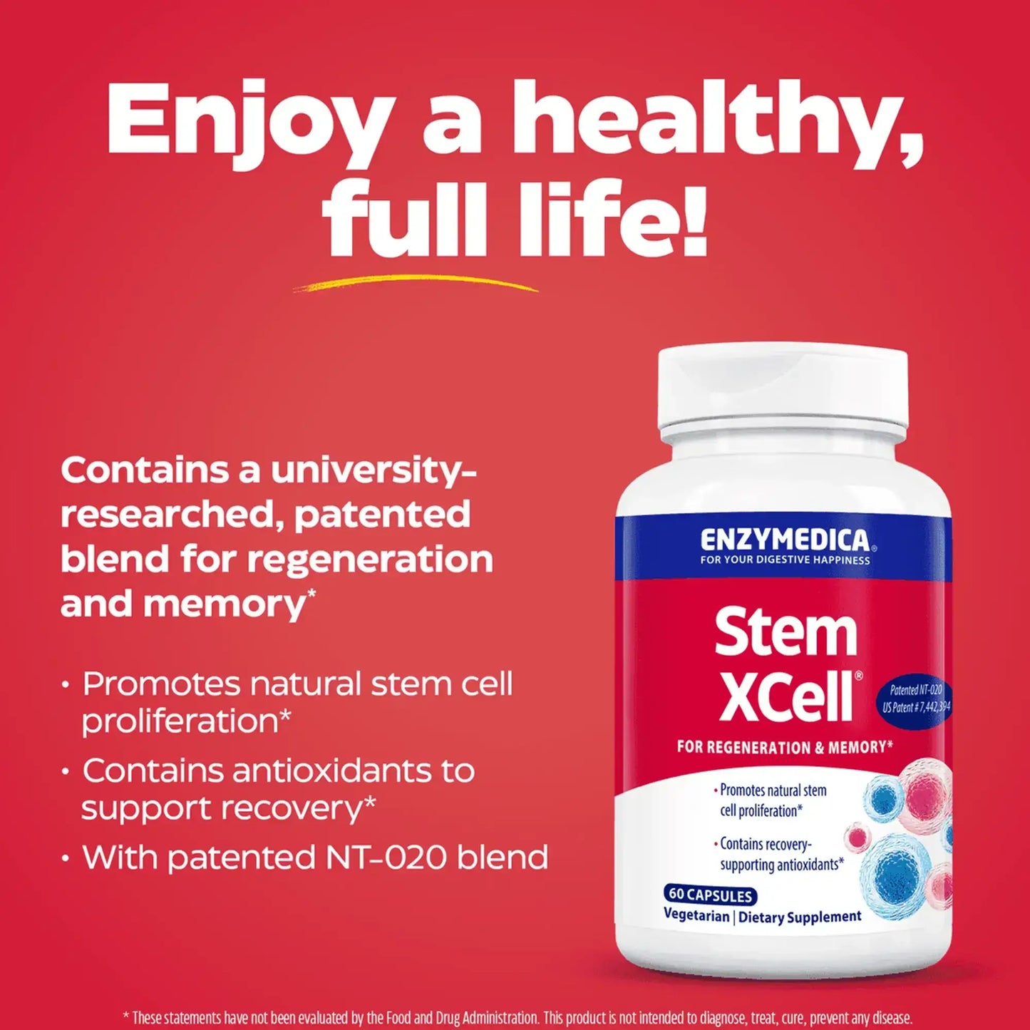 This image explains what Stem XCell does for you.