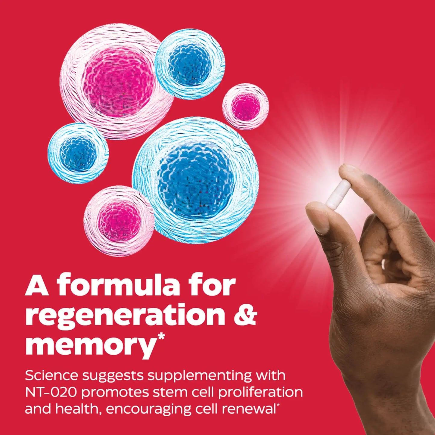 This is an image of Stem XCell showing it is a formula for regeneration and memory.