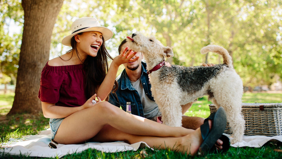 Woman laughing on a picnic blanket in the park while a small dog licks her hand and another person sits beside them in the background