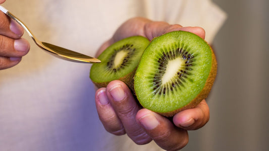 Kiwi fruit held in a person's hand