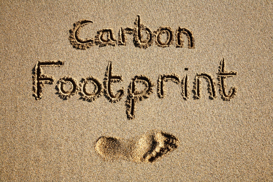 Reduce Your Carbon Footprint