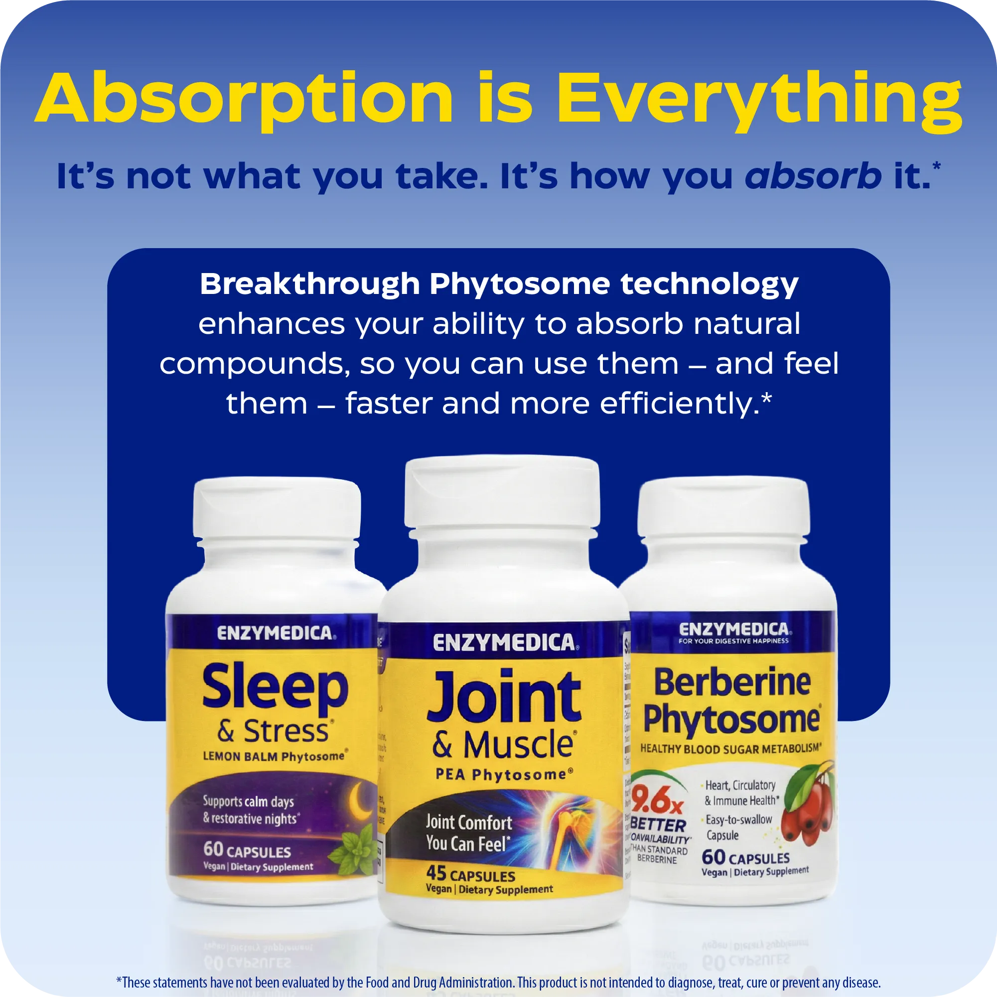 Sleep & Stress Lemon Balm Phytosome®
