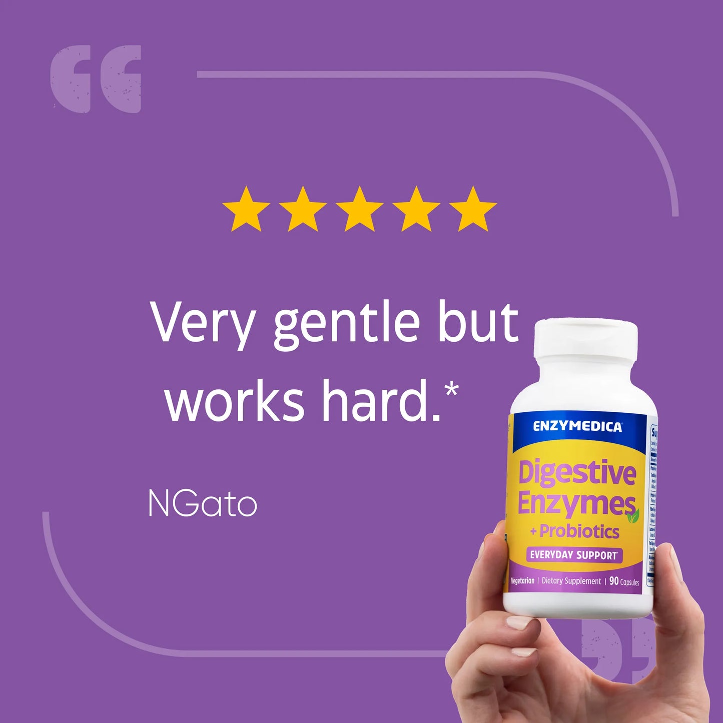Digestive Enzymes and Probiotics for Everyday Support