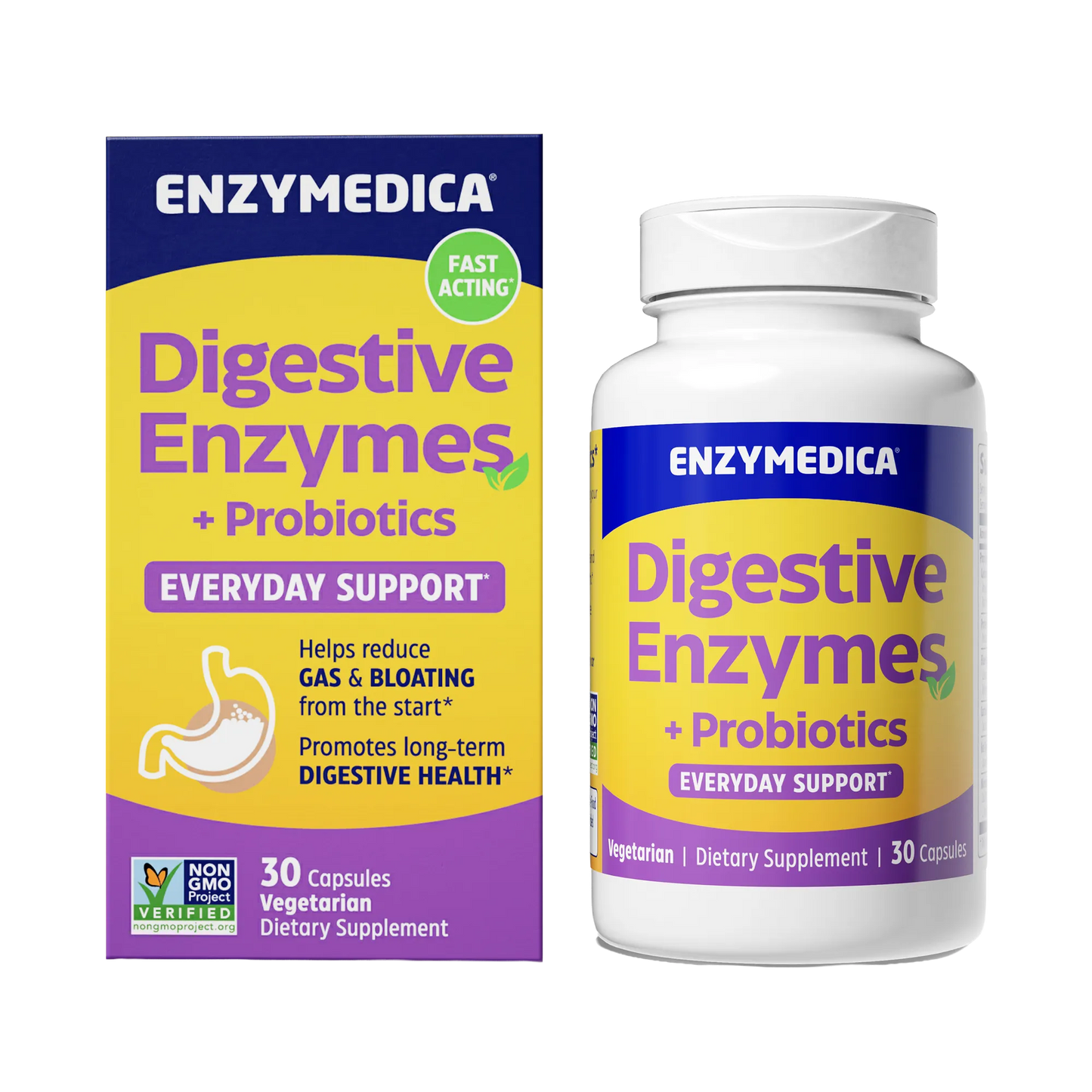 Digestive Enzymes and Probiotics for Everyday Support