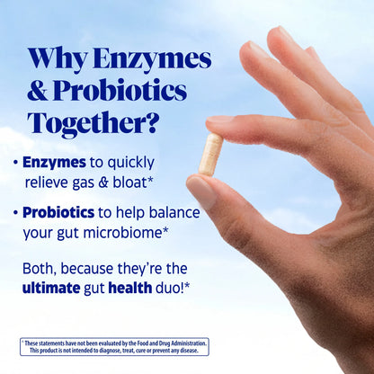 Digestive Enzymes and Probiotics for Everyday Support