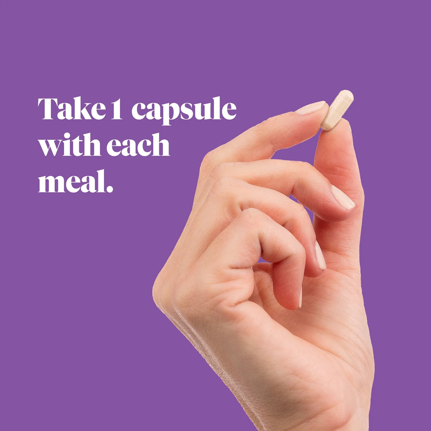 Digestive Enzymes and Probiotics for Everyday Support