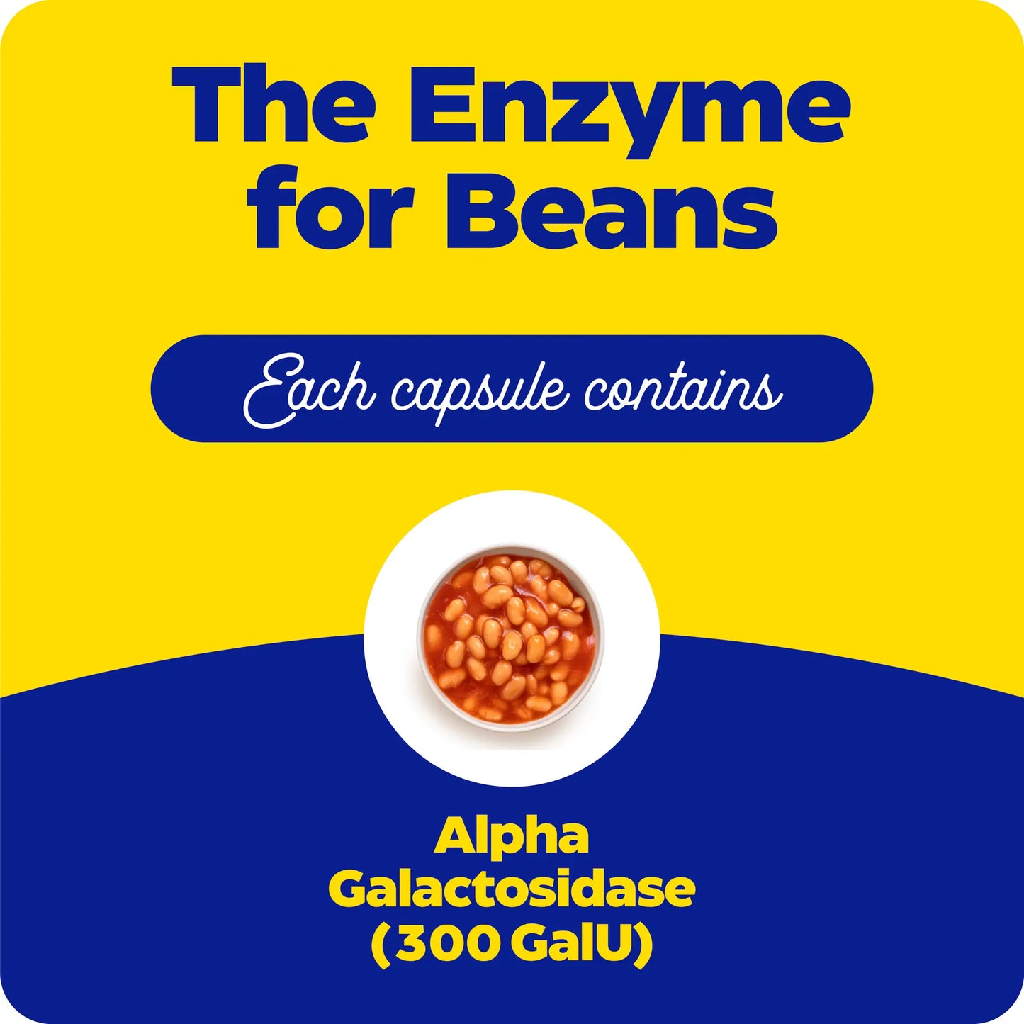 This is the image for the enzyme for beans. Each capsule contains Alpha Galactosidase (300 GaIU). This image also contains a picture of a bowl of beans.