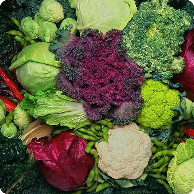 Vegetables.