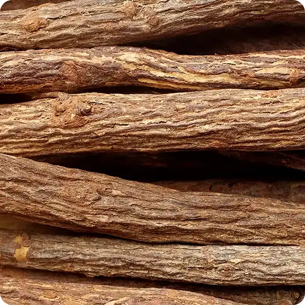 Sticks of wood.
