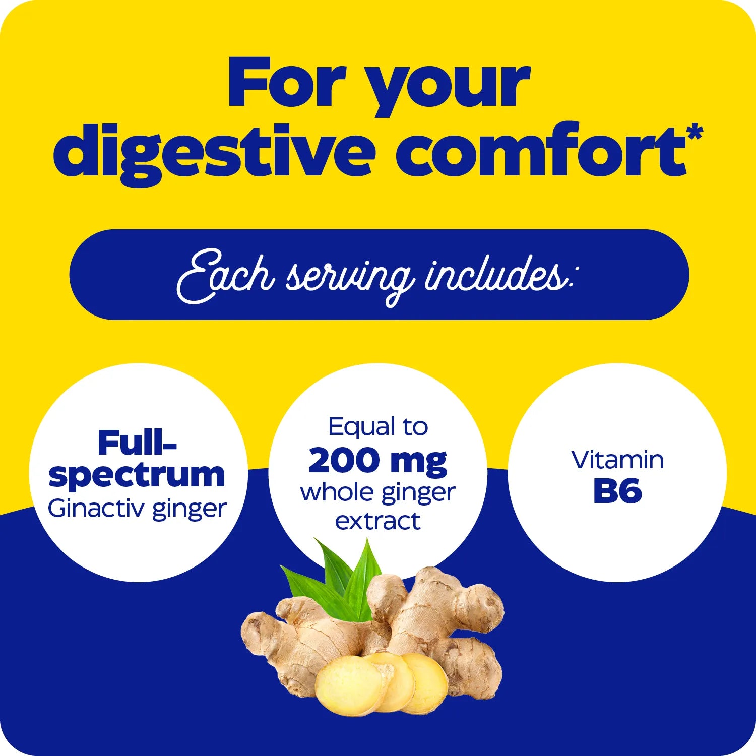 For your digestive comfort graphic showing full-spectrum Ginactiv ginger, 200 mg whole ginger extract equivalent, and vitamin B6