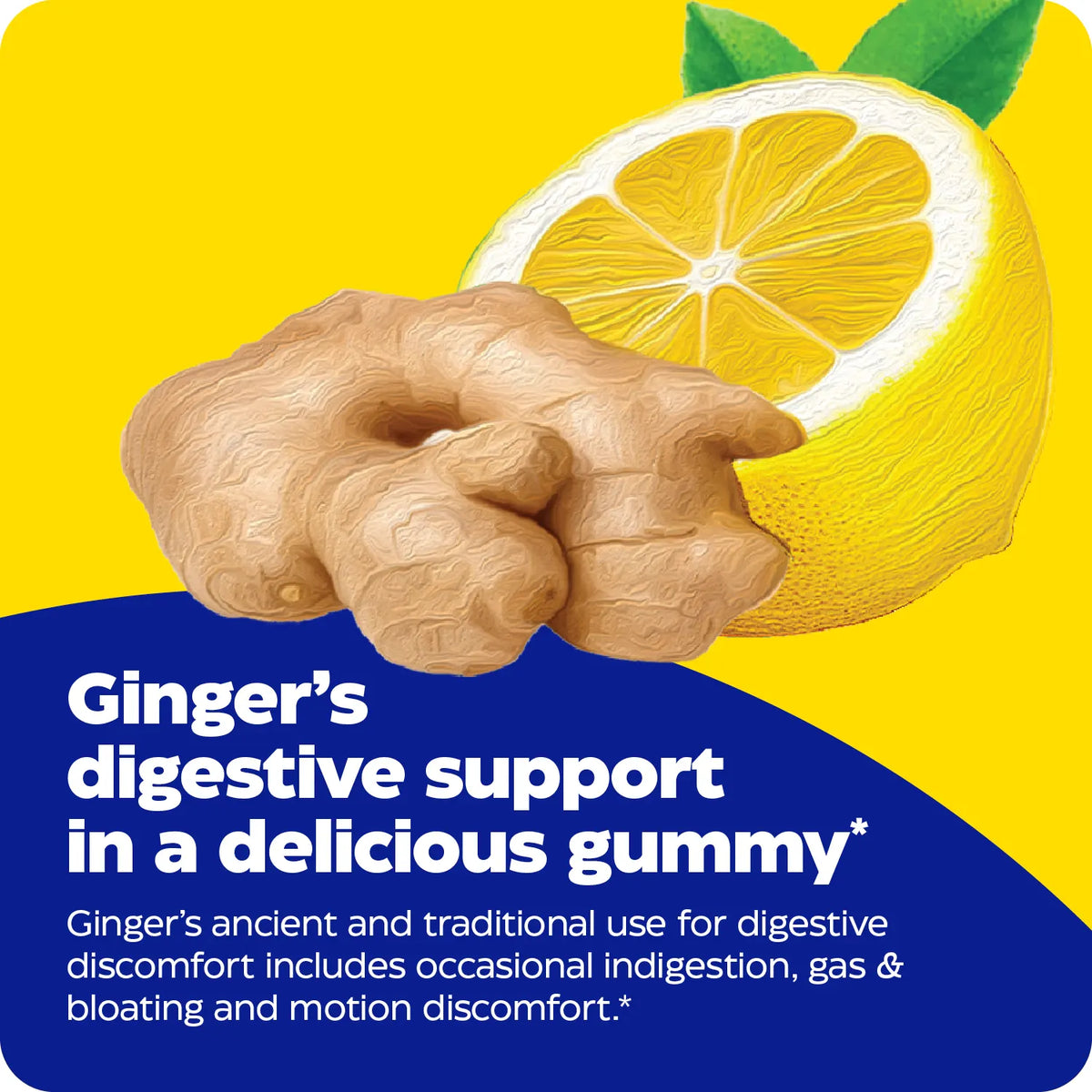 Gingerbread Digestive Ginger & Vitamin B6 Gummies for Digestive Comfort
