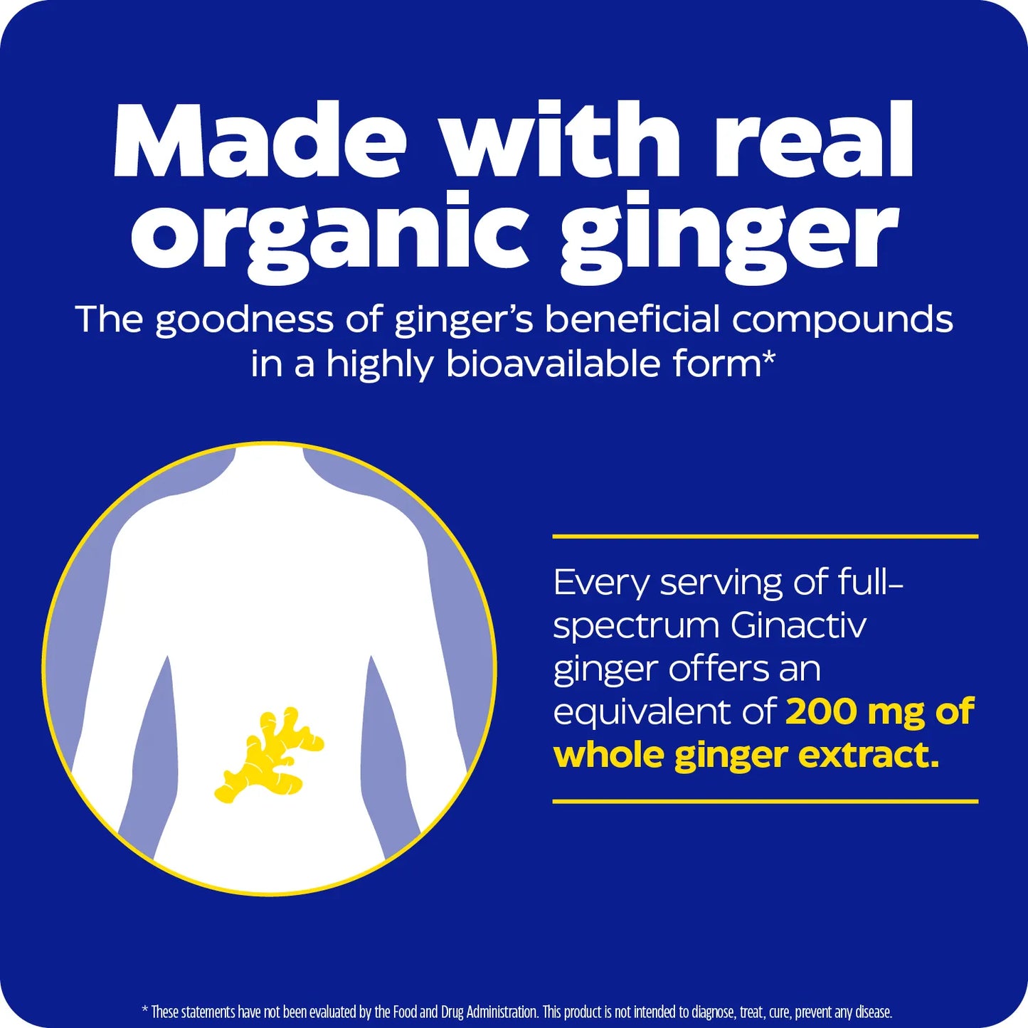 Made with real organic ginger infographic with body illustration and 200 mg whole ginger extract equivalent statemen