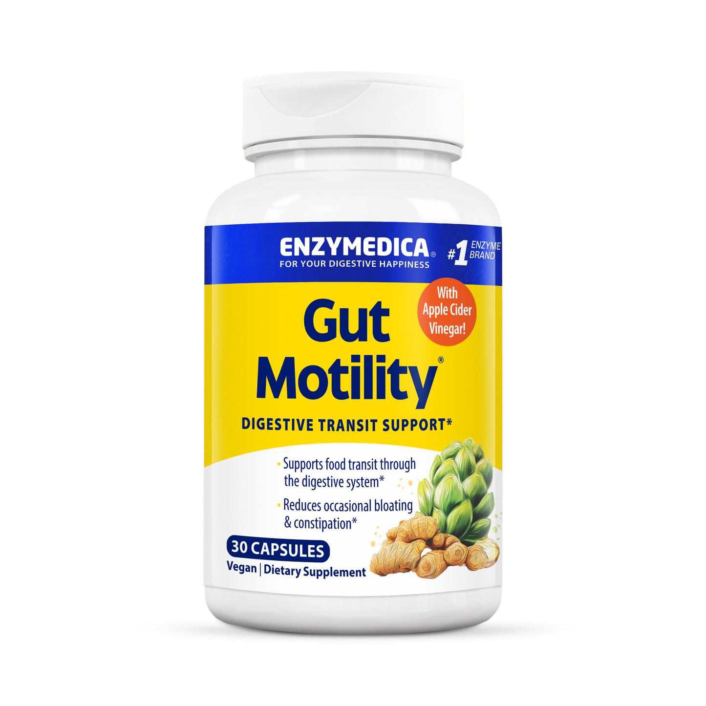 Gut Motility