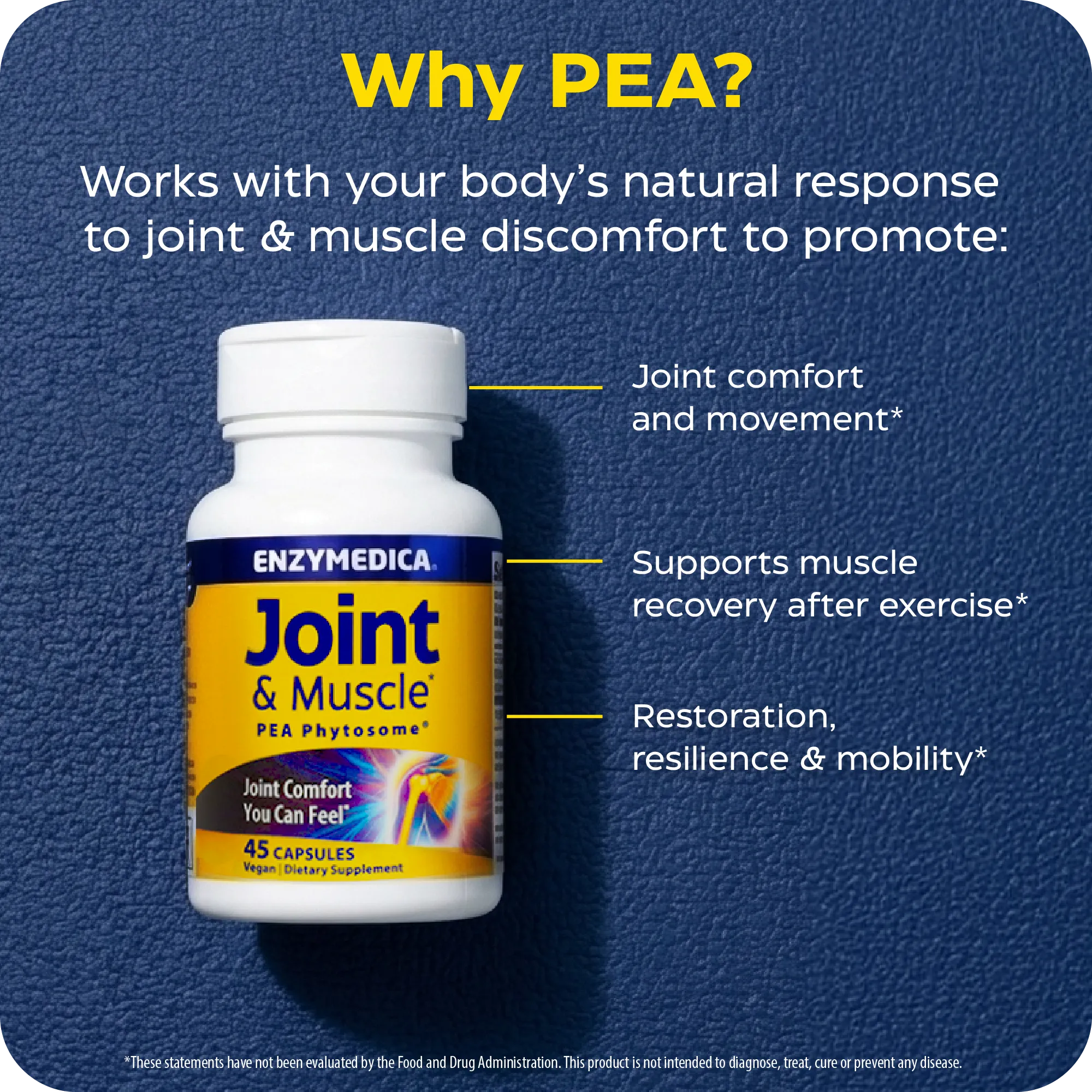 Joint & Muscle PEA Phytosome®