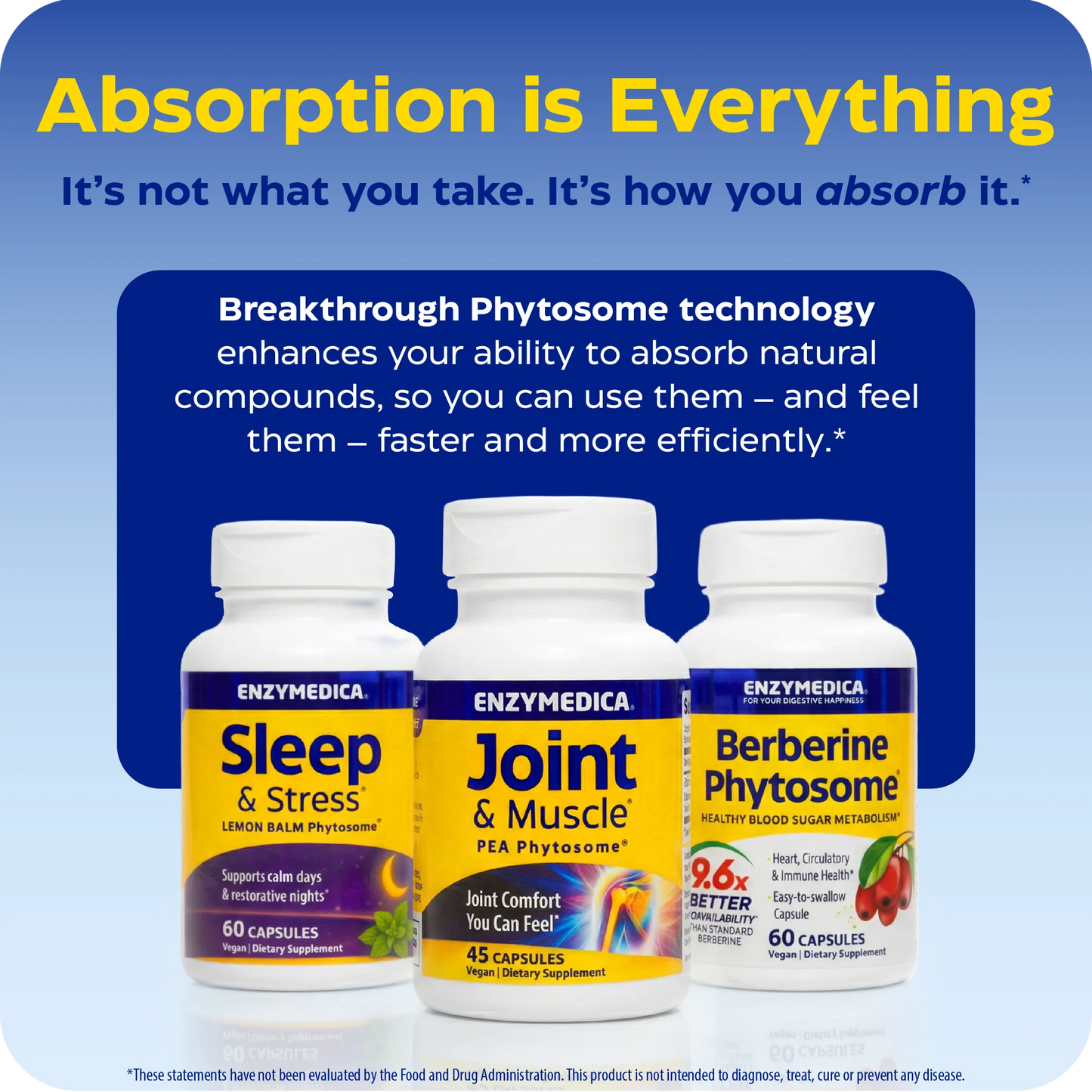 Joint & Muscle PEA Phytosome®