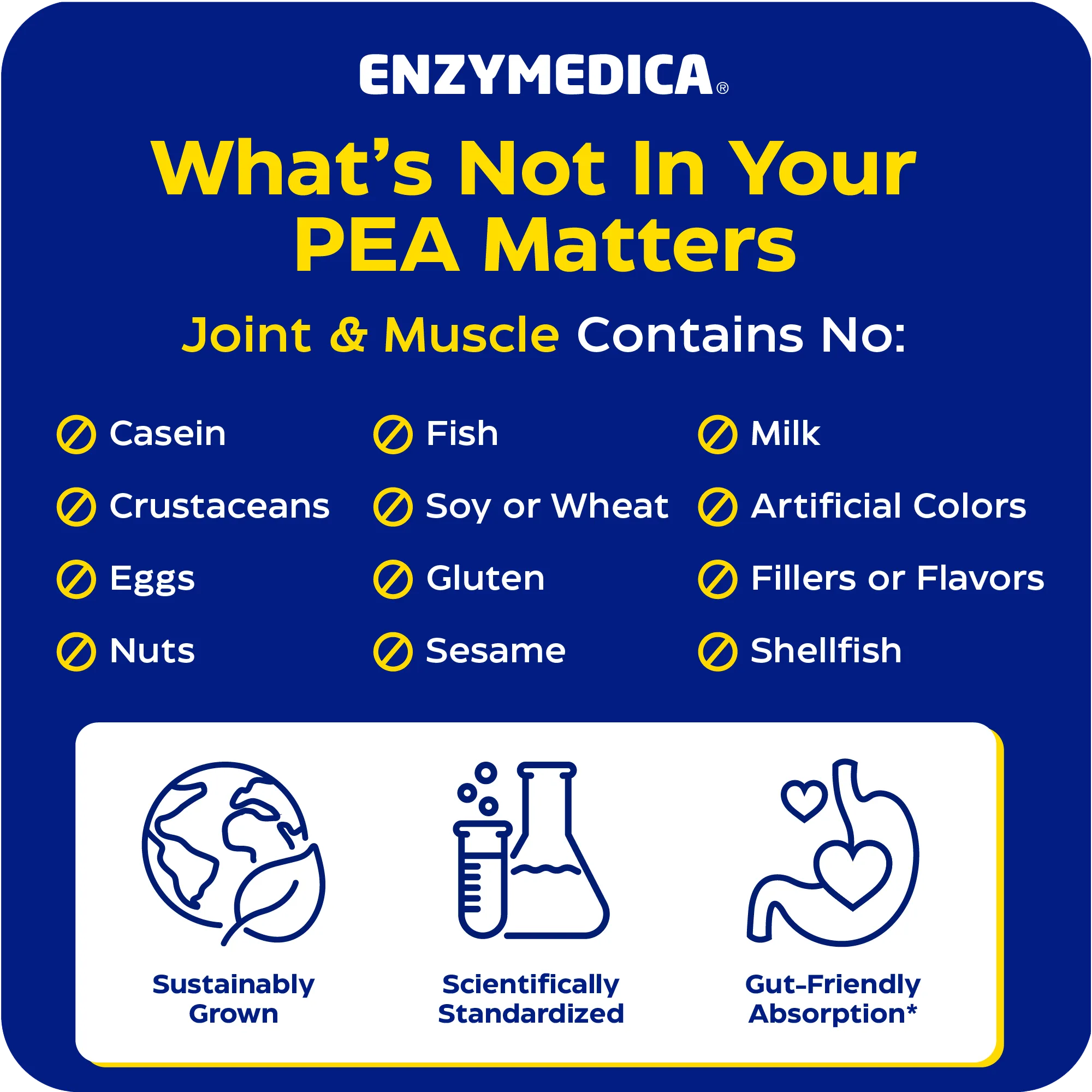 Joint & Muscle PEA Phytosome®