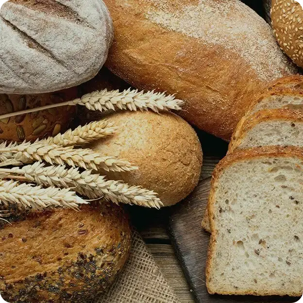 Assortment of bread and wheat.